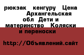 рюкзак - кенгуру › Цена ­ 700 - Архангельская обл. Дети и материнство » Коляски и переноски   